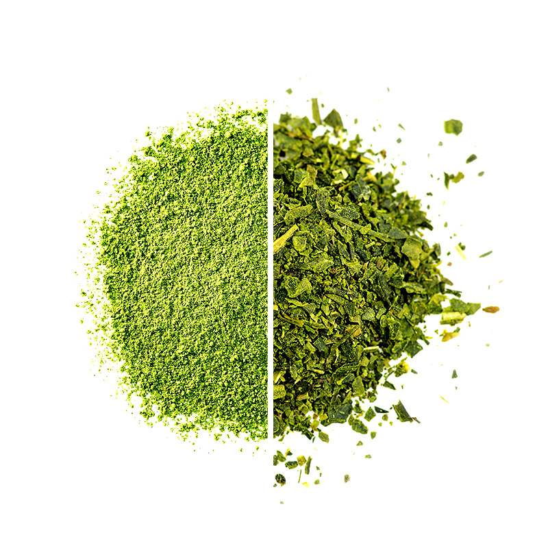 Mi a különbség a matcha és a zöld tea között?