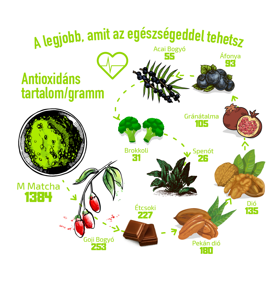 Antioxidáns hatás